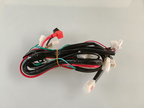 5.3.06.0015 | Main Wiring Harness | ATV70